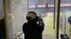 Foto vom Album: Kreismeisterschaft in den Kurzwaffen-Disziplinen 2026