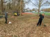 Laubfegen