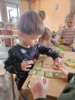 Foto vom Album: Rückblick Februar/März Mini-Füchse