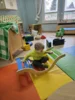 Foto vom Album: Rückblick Februar/März Mini-Füchse