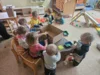 Foto vom Album: Rückblick Februar/März Mini-Füchse