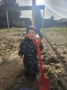 Foto vom Album: Rückblick Februar/März Mini-Füchse