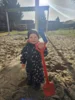 Foto vom Album: Rückblick Februar/März Mini-Füchse