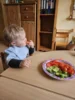 Foto vom Album: Rückblick Februar/März Mini-Füchse