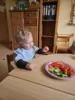 Foto vom Album: Rückblick Februar/März Mini-Füchse