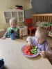 Foto vom Album: Rückblick Februar/März Mini-Füchse