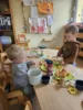 Foto vom Album: Rückblick Februar/März Mini-Füchse