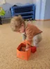 Foto vom Album: Rückblick Februar/März Mini-Füchse