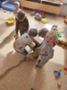 Foto vom Album: Rückblick Februar/März Mini-Füchse