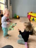 Foto vom Album: Rückblick Februar/März Mini-Füchse