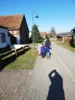 Foto vom Album: Rückblick Februar/März Große Füchse