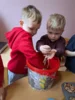 Foto vom Album: Rückblick Februar/März Große Füchse