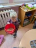 Foto vom Album: Rückblick Februar/März Große Füchse
