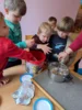 Foto vom Album: Rückblick Februar/März Große Füchse