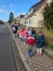Foto vom Album: Rückblick Februar/März Große Füchse