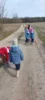Foto vom Album: Rückblick Februar/März Große Füchse