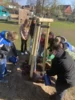 Foto vom Album: Rotbuchen für unseren Schulhof