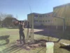 Foto vom Album: Rotbuchen für unseren Schulhof