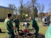 Foto vom Album: Rotbuchen für unseren Schulhof