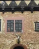Tor mit Geweih ©Selketal