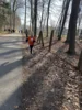 Foto vom Album: Kreiskrosslauf in Pritzwalk