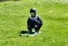 Foto vom Album: 2026-05-02 Baumblütenspringen in Rothenburg