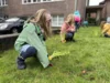 Foto vom Album: Frühblüher pflanzen