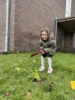 Foto vom Album: Frühblüher pflanzen