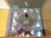 Foto vom Album: Frühlingserwachen bei den Mühlenwichteln