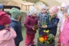 Foto vom Album: Frühlingserwachen bei den Mühlenwichteln