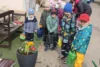 Foto vom Album: Frühlingserwachen bei den Mühlenwichteln