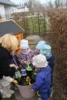 Foto vom Album: Frühlingserwachen bei den Mühlenwichteln