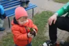 Foto vom Album: Frühlingserwachen bei den Mühlenwichteln