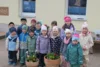 Foto vom Album: Frühlingserwachen bei den Mühlenwichteln