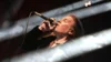 Foto: Thorsten Murr