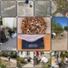 Foto vom Album: Kippen-Challenge 2026