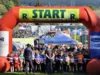 Foto vom Album: Rennsteiglauf 2026