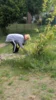 Zielitz Putzt sich