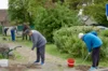 Schricke putzt sich