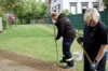 Schricke putzt sich