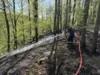 Foto vom Album: 030526 Waldbrand
