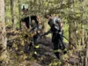 Foto vom Album: 030526 Waldbrand