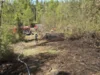 Foto vom Album: 030526 Waldbrand