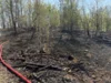 Foto vom Album: 030526 Waldbrand