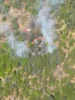 Foto vom Album: 030526 Waldbrand