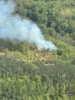 Foto vom Album: 030526 Waldbrand