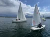 Foto vom Album: Ansegeln 2025