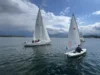 Foto vom Album: Ansegeln 2025