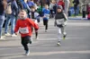 Foto vom Album: 38. Lauf um die Kreckwitzer Höhen - Zielareal