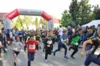 Foto vom Album: 38. Lauf um die Kreckwitzer Höhen - Zielareal